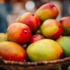 Mango Sicilia, Al Pezzo Medio