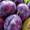 Prugna Grossa Di Felisio, Bio